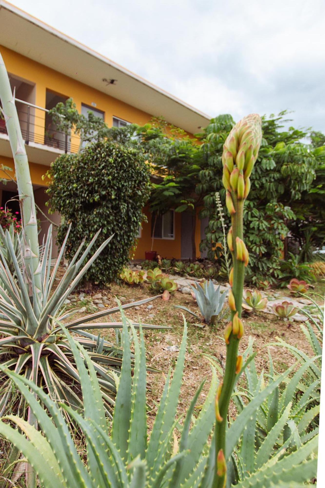 Hotel Guiva San Pablo Hacienda Blanca Eksteriør bilde